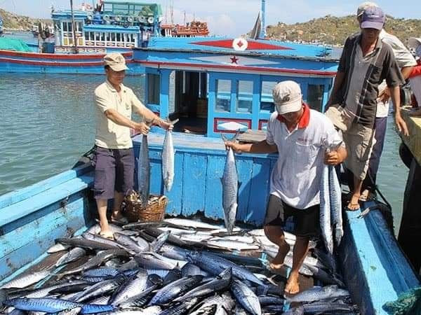 Fishing Harbor Operations 3